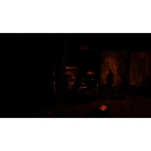 Shadow Corridor Collection [NINTENDO SWITCH]