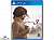Сибирь 3 (Syberia 3)[PLAYSTATION 4]